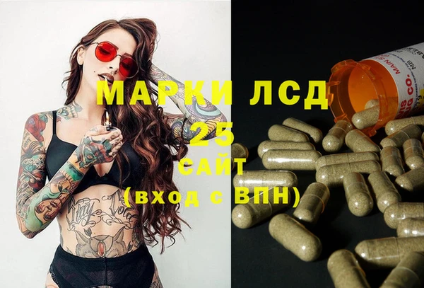 PSILOCYBIN Богородицк