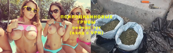 mdma Бородино