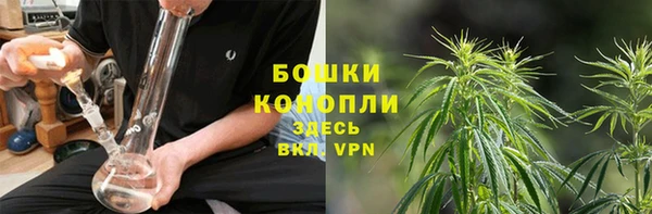 стаф Бронницы
