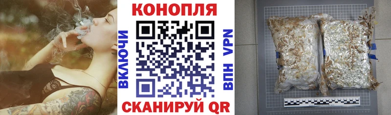 закладка  Кондопога  kraken ссылки  Бошки марихуана Amnesia 